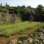 Damos a conocer Herbam en la red de Parques de Aromas