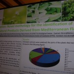 Congressos i seminaris 2013