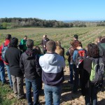 Cursos i jornades 2013